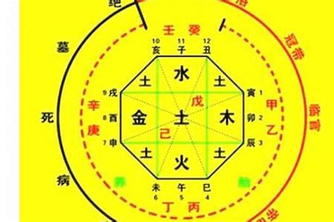 本命卦查询|生辰八字算命、五行喜用神查询（免费测算）